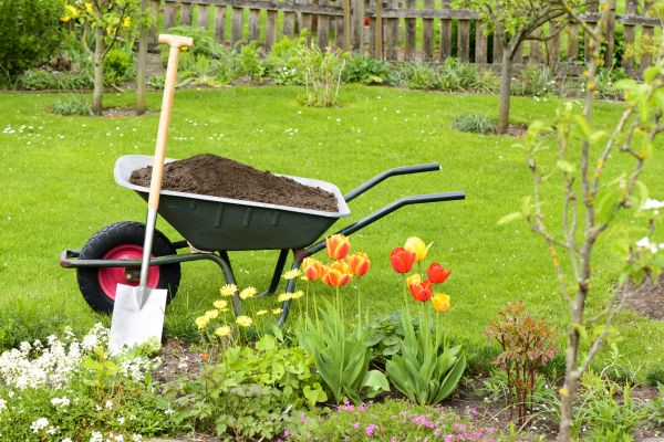 Spring Yard Renovation in Bremerton