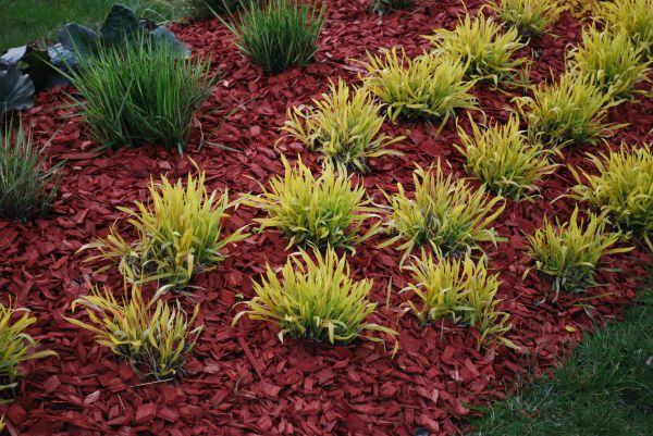 Red Mulch Installation in Bremerton