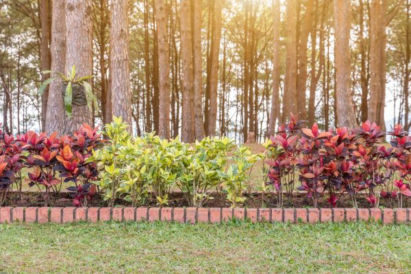 Small Garden Landscaping in Bremerton