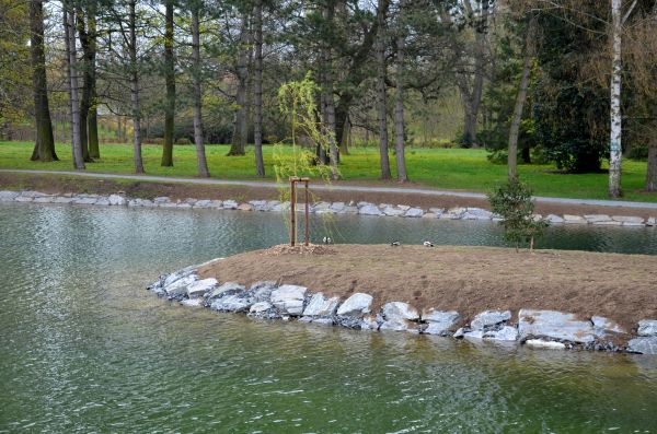 Pond Landscaping Service in Bremerton