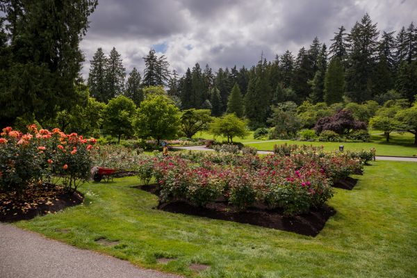 Flower Garden Landscaping in Bremerton