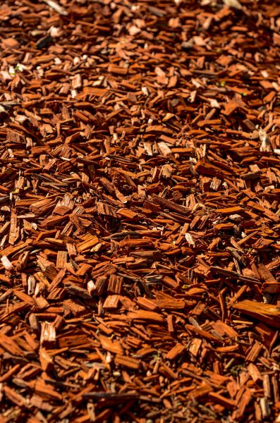 Cedar Mulch Spreading in Bremerton