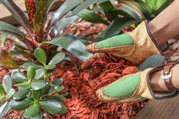 Residential Mulching in Bremerton