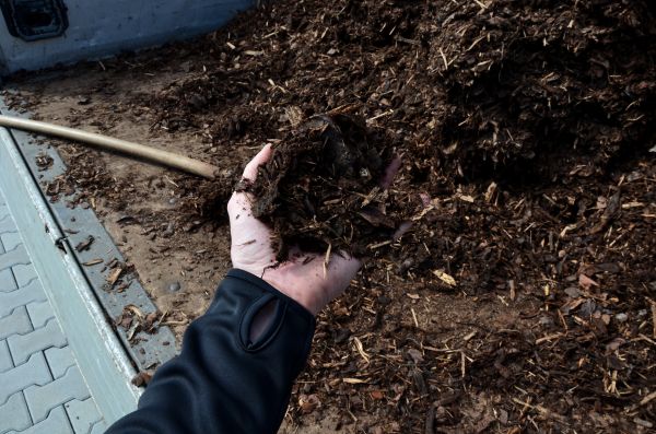 Condo Mulching in Bremerton
