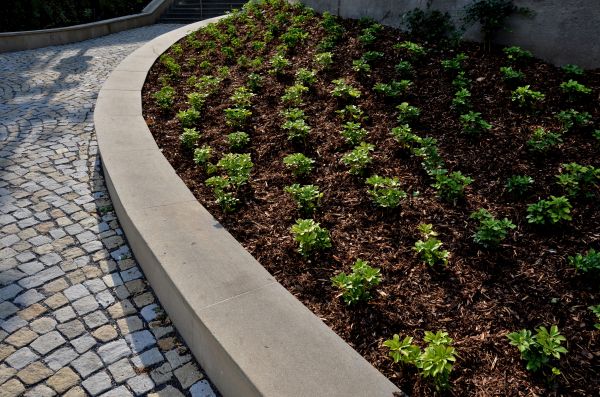 Commercial Mulching in Bremerton