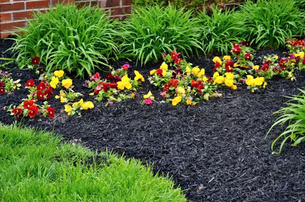 Apartment Mulching in Bremerton
