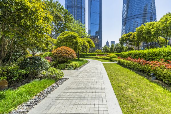 Commercial Landscaping in Bremerton